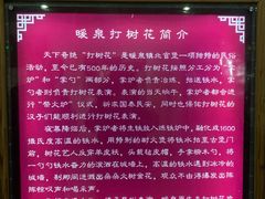 -暖泉古镇