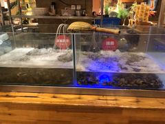 水产区-芭菲盛宴·环球美食(锦城万达广场店)