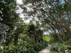 -福田红树林生态公园