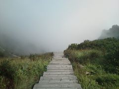 -白草畔自然风景区