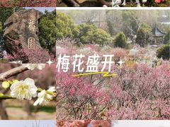 -无锡梅园公园