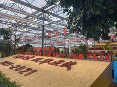 -兰陵国家农业公园