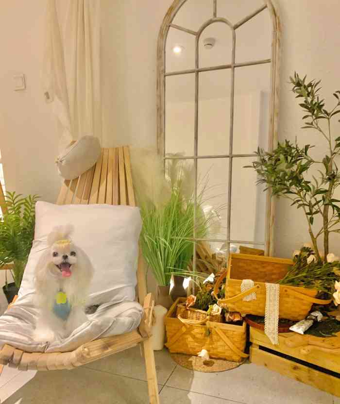 素隐茶室-"下午茶的仪式感,打卡亦庄新晋网红咖啡店,.