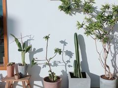 -AHAVA·Fang Baking Studio