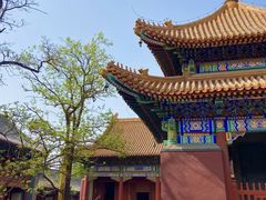 -北京国子监胡同
