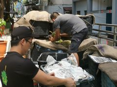 -都念榴莲·城市榴莲