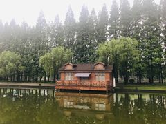 -金岛生态园烧烤露营地