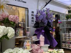 -溪岸路花鸟市场