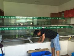 -丫丫蟹庄·苏式园林农家乐·阳澄湖大闸蟹(阳澄湖莲花岛店)