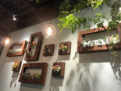 -仙踪林(江燕路万科里店)