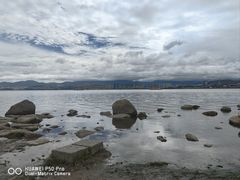 -洱海月湿地公园