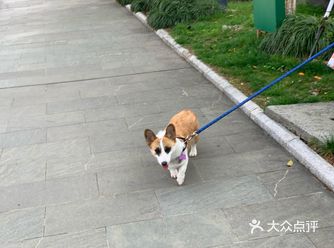 一点指令都不停的让她坐好