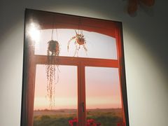 -LESCEDARS Brasserie Bistro香柏树