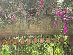 -西双版纳原始森林公园
