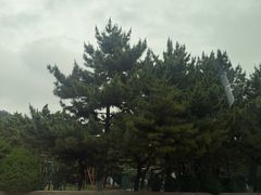 -石岛赤山风景区