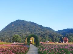 -广州市石门国家森林公园