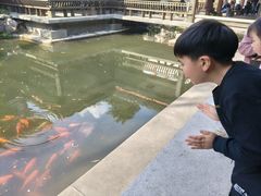 -浙江省博物馆(孤山馆区)