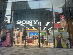 -Sony Store索尼(深圳深业上城店)