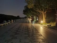 -深圳湾公园(南山区)