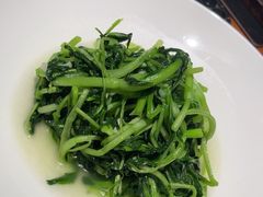 -金枝玉叶上海人家食府(三里河店)