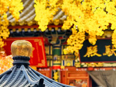 -西安碑林博物馆