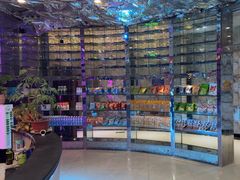 -K歌之王量贩式KTV(洪楼店)