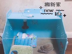 -瑞派·关忠动物医院·异宠专科·犬猫肿瘤·皮肤专科(望京店)