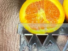 -宜昌富力皇冠假日酒店·咖啡1号西餐厅