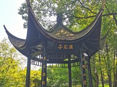 -东湖落雁景区