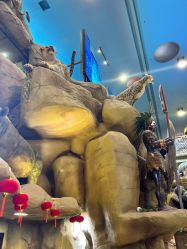 -卡通尼·Safari非洲探索乐园·生日会(金桥国际商业广场店)