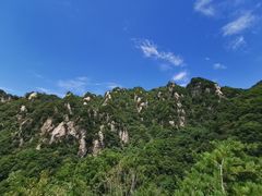 -王顺山国家森林公园