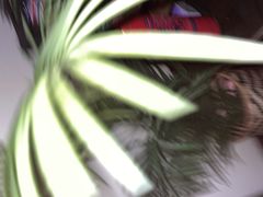 -Uncle Kosto科斯托·中东菜