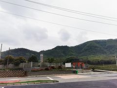 -羊楼洞