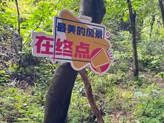 -崀山风景名胜区