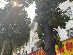 -一寨两国风景区