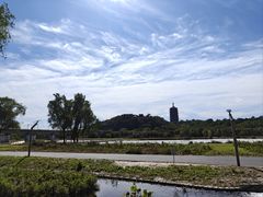 -永定河休闲森林公园