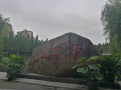-陈家山荷花公园