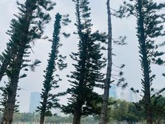 -万绿园