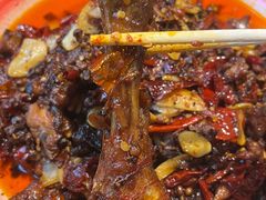 -柴窝堡22号辣子鸡·传承新疆菜