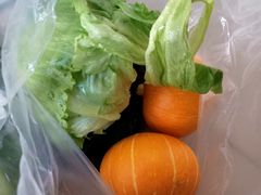 -万源龙顺度假庄园生态观光园