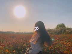 -映月湖中央公园