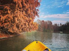 -上海海湾国家森林公园