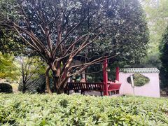 -中山公园