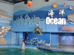 -苏州海洋馆