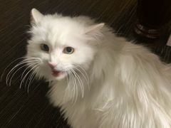 -肯德基(学院路店)