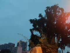 -西大酒店