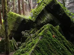 -梭布垭石林景区