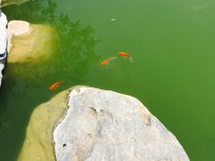 iphone_upload_pic-西安华清御汤酒店