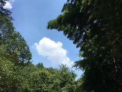 -法云安缦酒店