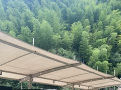 -将军关探险漂流